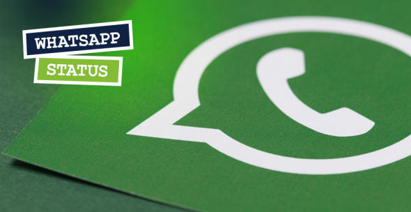 Das WhatsApp-Logo auf grünem Untergrund.