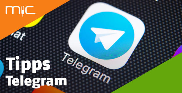 Das App-Icon von Telegram.