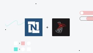 SQL Server & NetSuite Integrations.