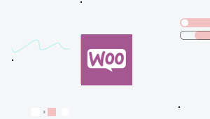 Woocommerce Integrations