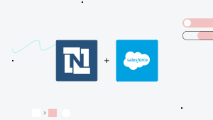 Netsuite & Salesforce Integrations.