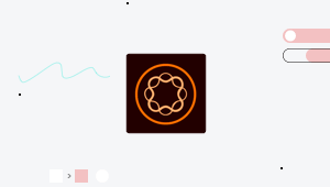 Adobe Experience Manager Integrations.