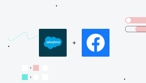 Salesforce & Facebook Integrations.