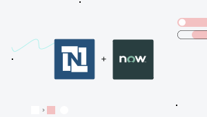 Netsuite & ServiceNow Integrations.