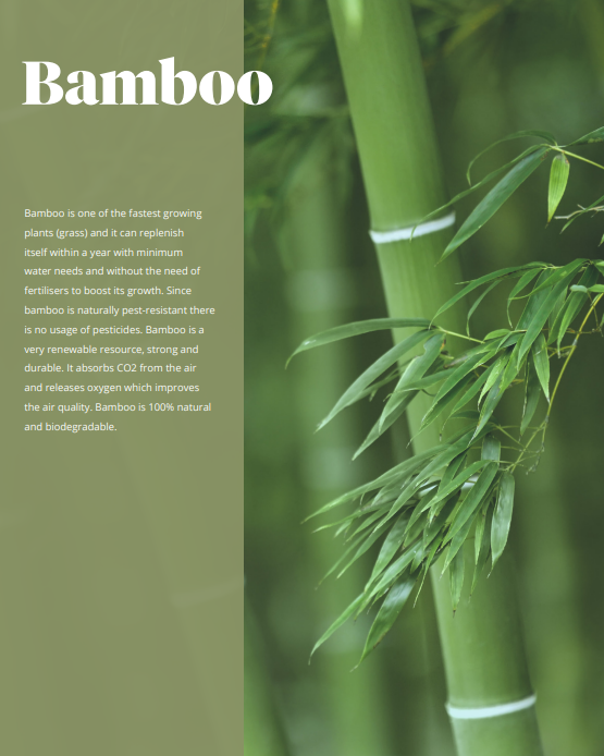 Bamboo flyer
