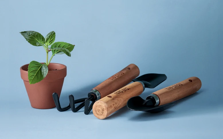 summer-essentials-gardening