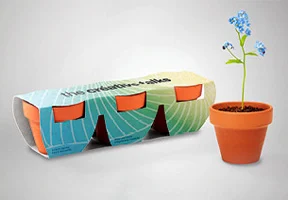 Solo midocean Seed & Growing kits YourChoice