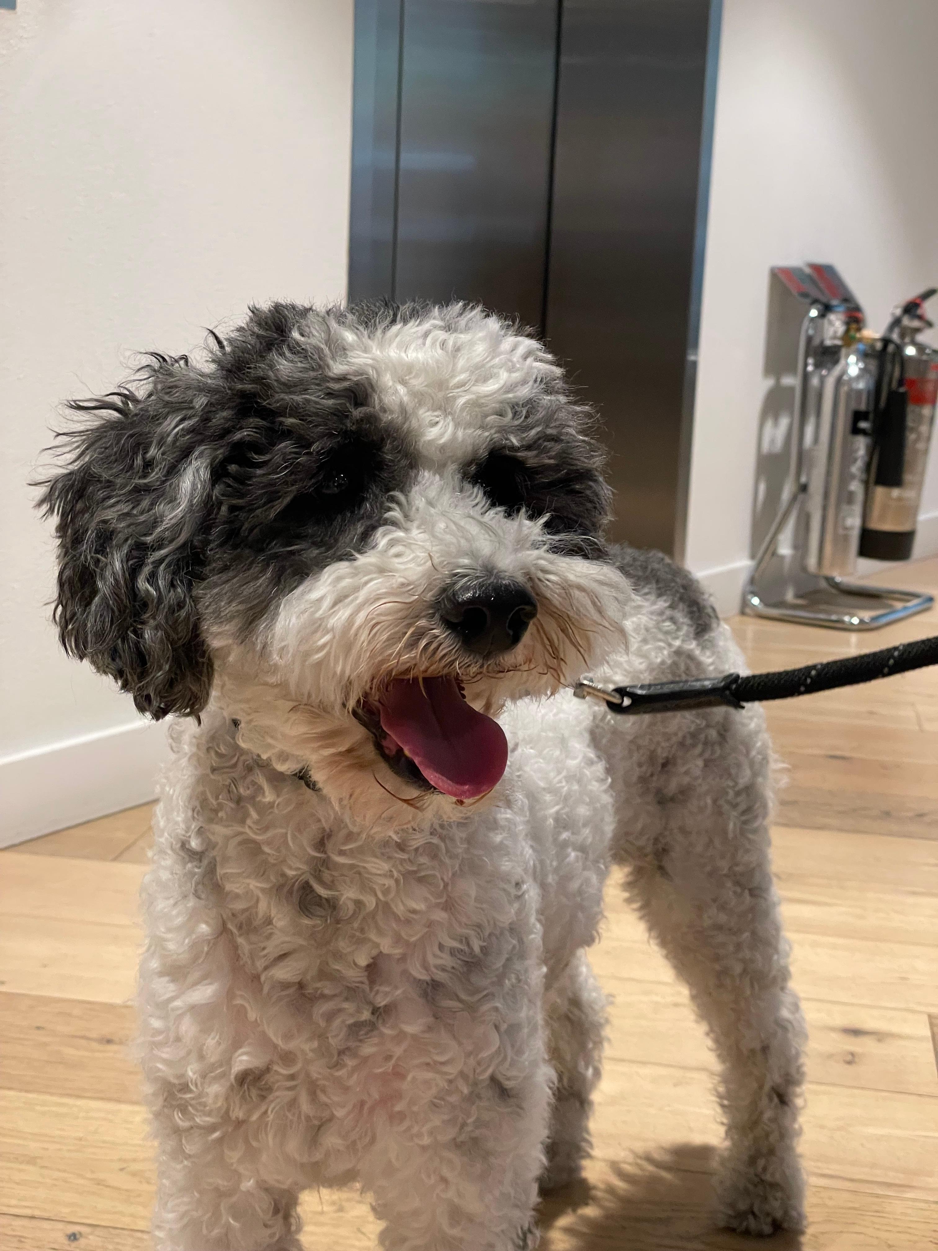 Profile photo for Reggie