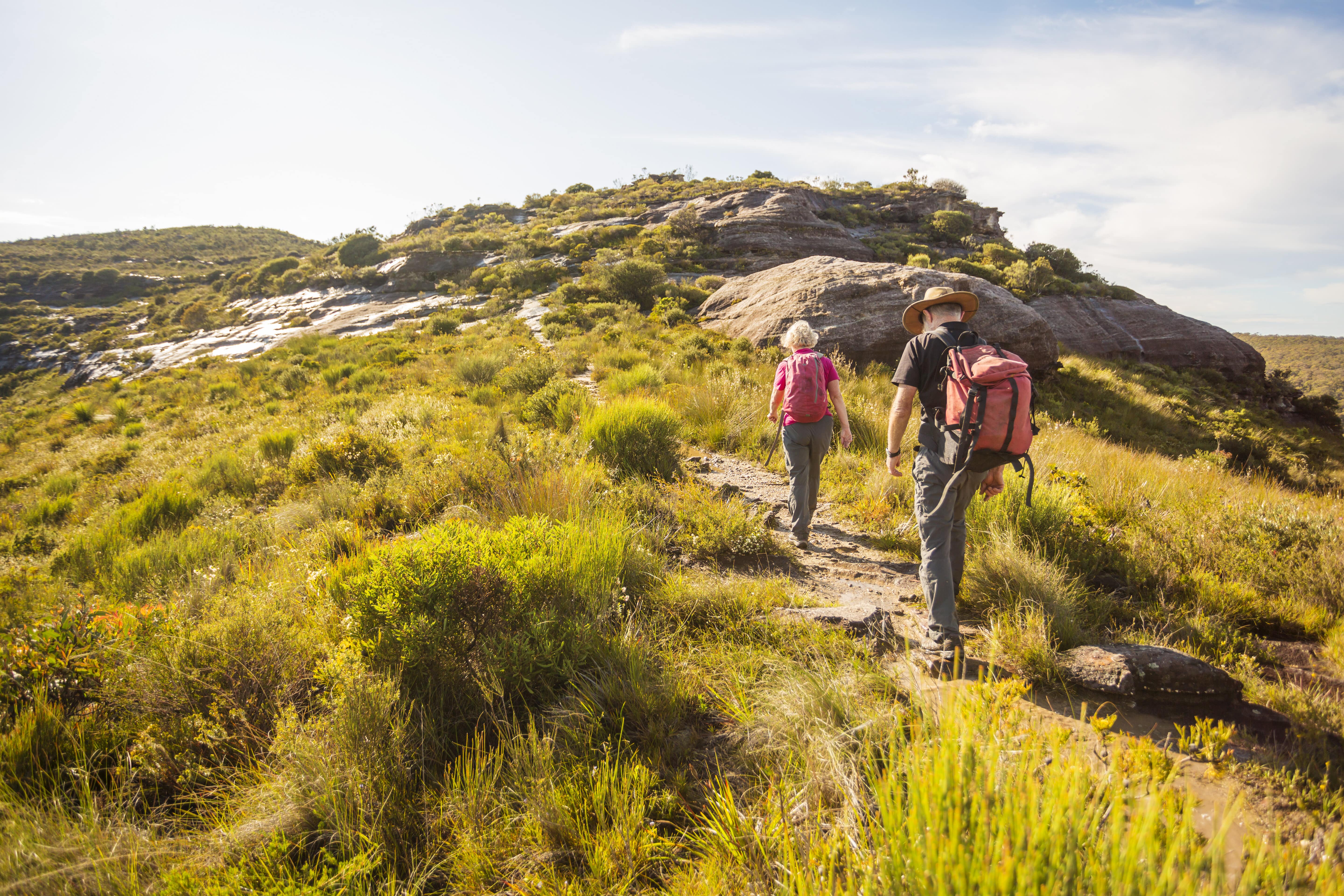 Melbourne Bushwalks