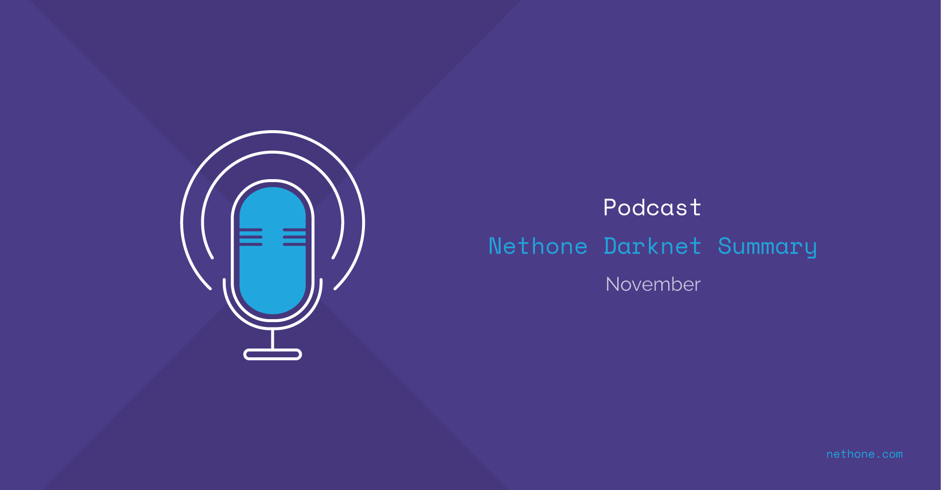 Nethone Darknet Summary | November 2020 | Hydra Cryptomarket