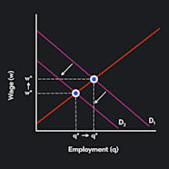 Labor Market Supply Curves Demand Curves Outlier