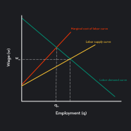 Labor Market Supply Curves Demand Curves Outlier