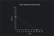 Budget Constraints In Economics Outlier