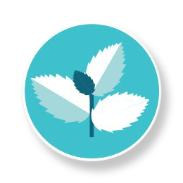 Essential oil icon 3 - Menthol