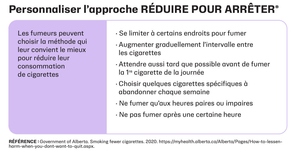 Graphique décrivant les moyens par lesquels les fumeurs peuvent personnaliser l'approche Réduire pour arrêter de fumer, de la manière qui leur convient