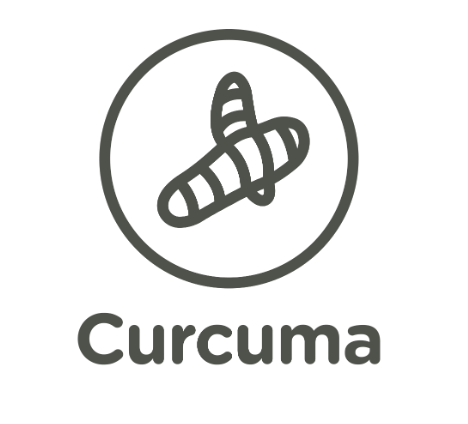 Curcuma icon