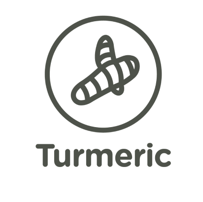 Turmeric icon