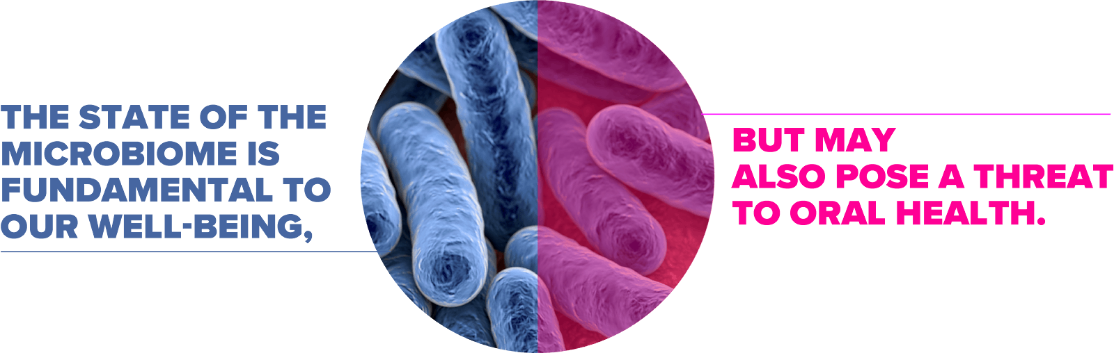 Microscopic image of oral microbiome bacteria