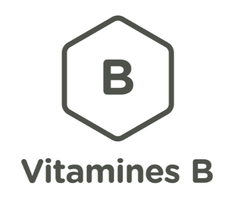 Icône de vitamines B