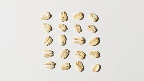 Avoine Aveeno, mettant en valeur les ingrédients naturels de l'avoine utilisés dans les produits Aveeno