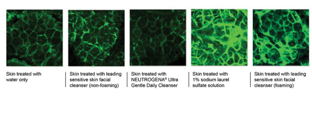 HMP Fluorescences Image