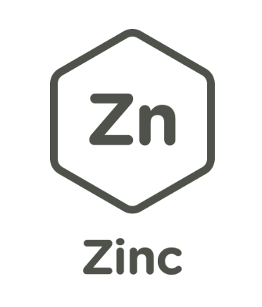 Icône de zinc