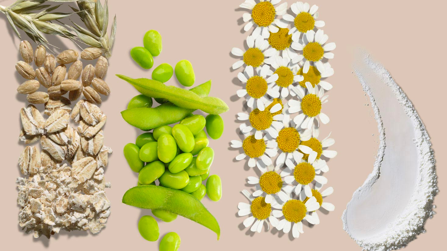 Nos ingrédients, mettant en avant les ingrédients naturels utilisés dans nos produits