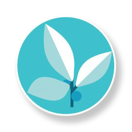 Essential oil icon 2 - Eucalyptol