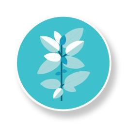 Essential oil icon 1 - Thymol