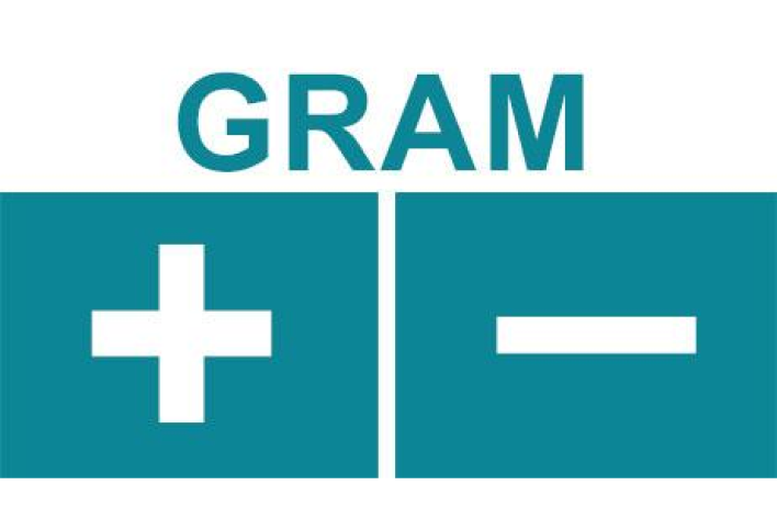 Gramme +/-