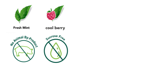 Fresh mint and Cool berry - Image