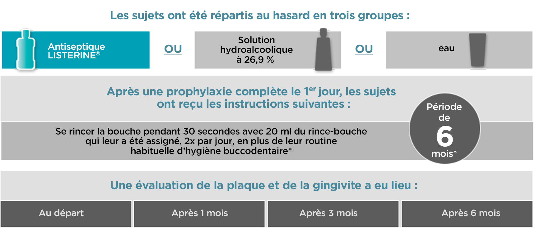 Données de l'étude Lamster