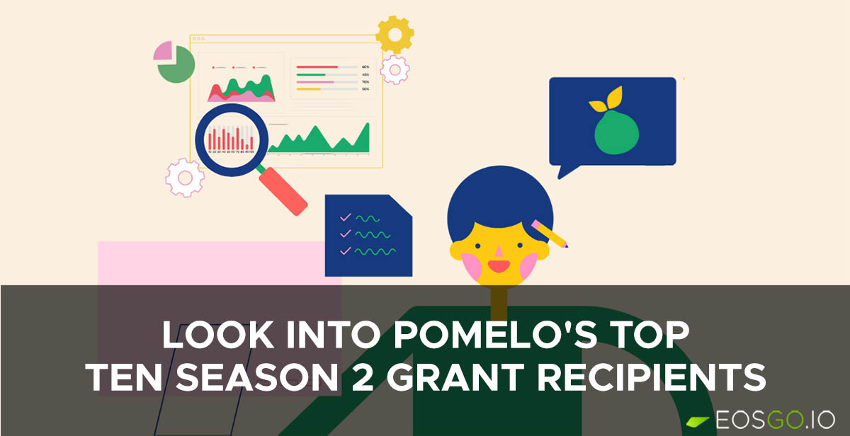 An Overview Look Into Pomelo's Top Ten Season 2 Grant Recipients