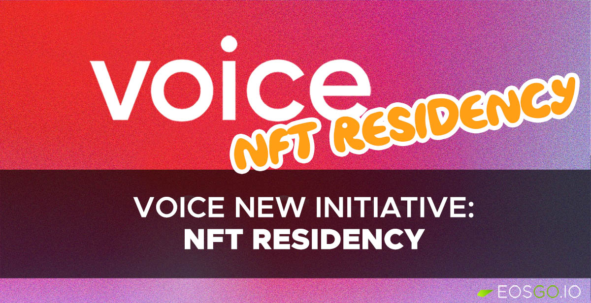 Voice New Initiative: NFT Residency