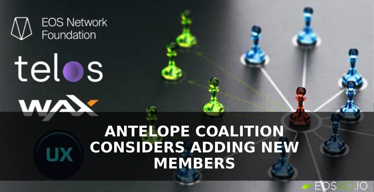 Antelope联盟正考虑增加新的区块链成员