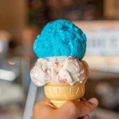 Sammy Lane's Sweet N' Treats - Gallery