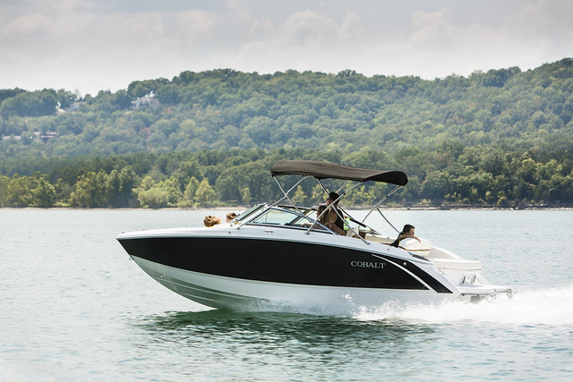 What Are the Best Free Things to Do in Branson?