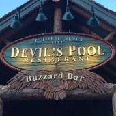 Buzzard Bar - Gallery