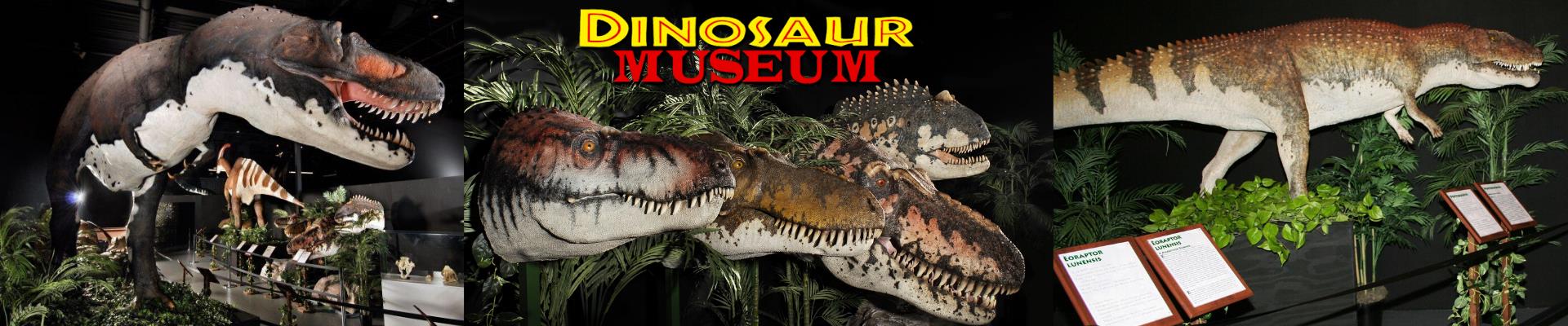 Beyond the Strip: Discover Branson’s Interactive Museums and Outdoor Adventures