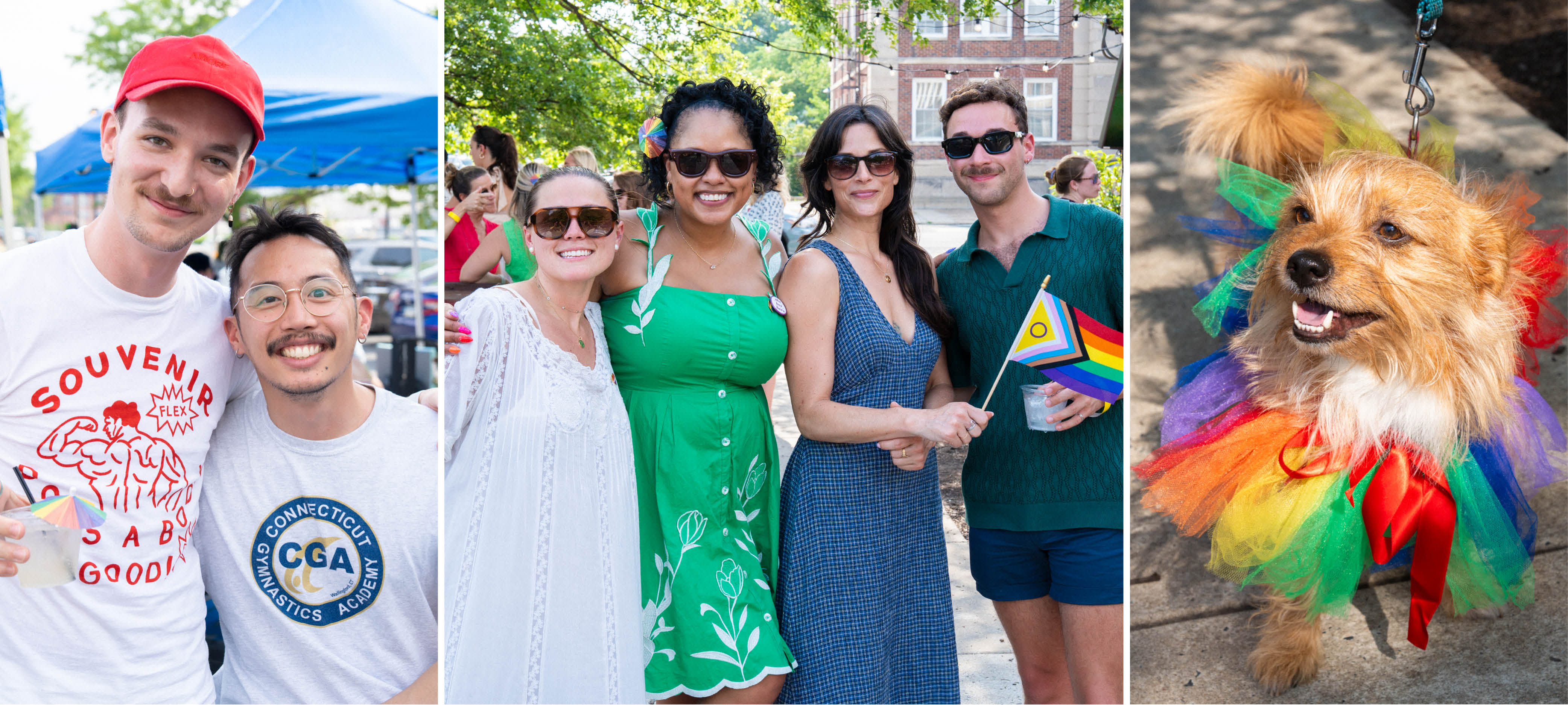 26_Prism_pride_ROW