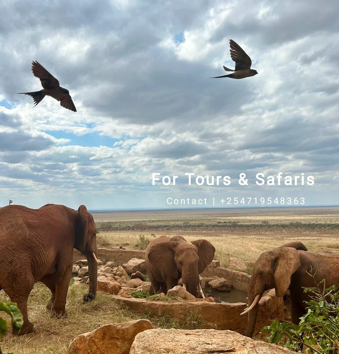 Tips For Visiting Kenya On Budget