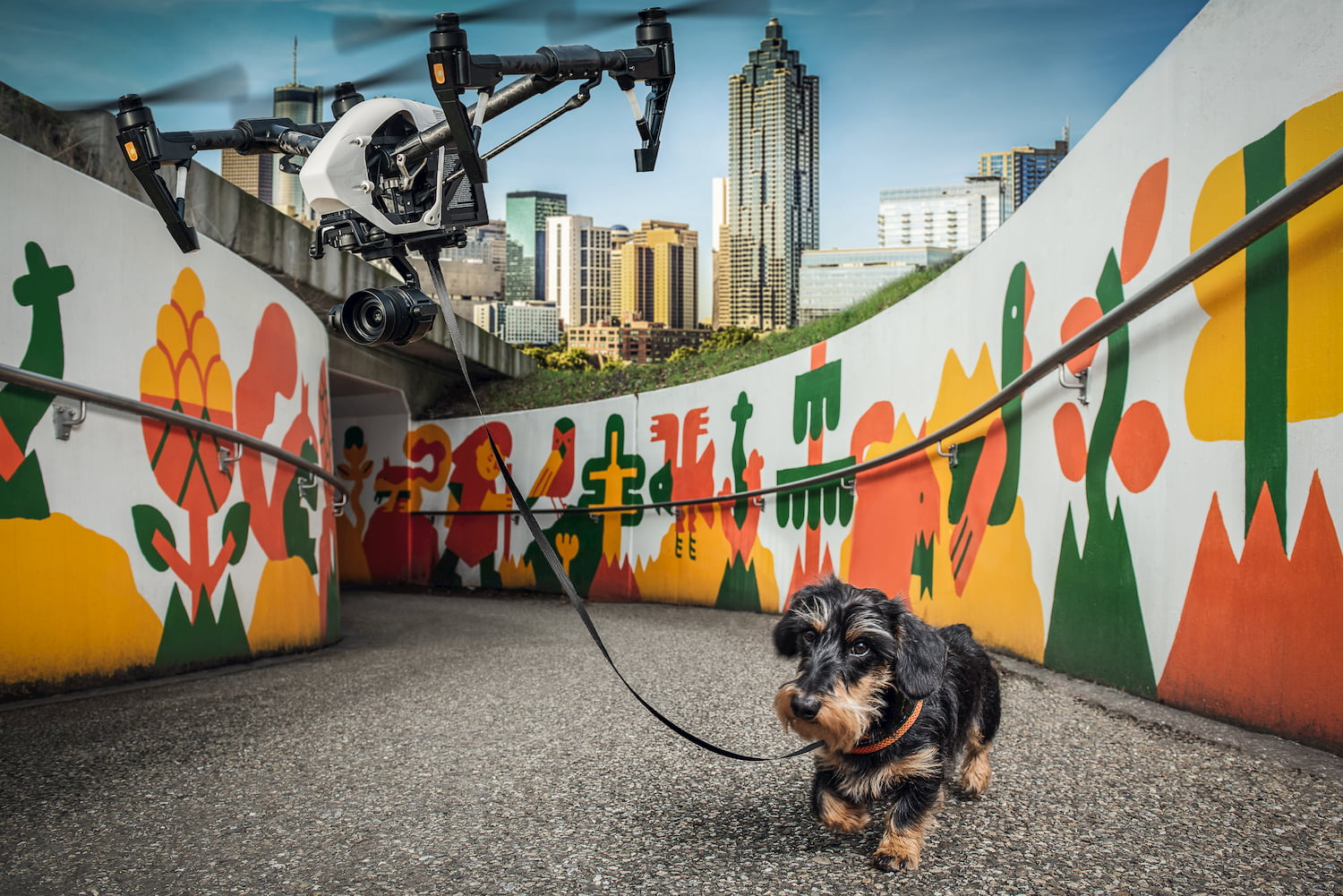 Digital-Experience-dog-with-drone