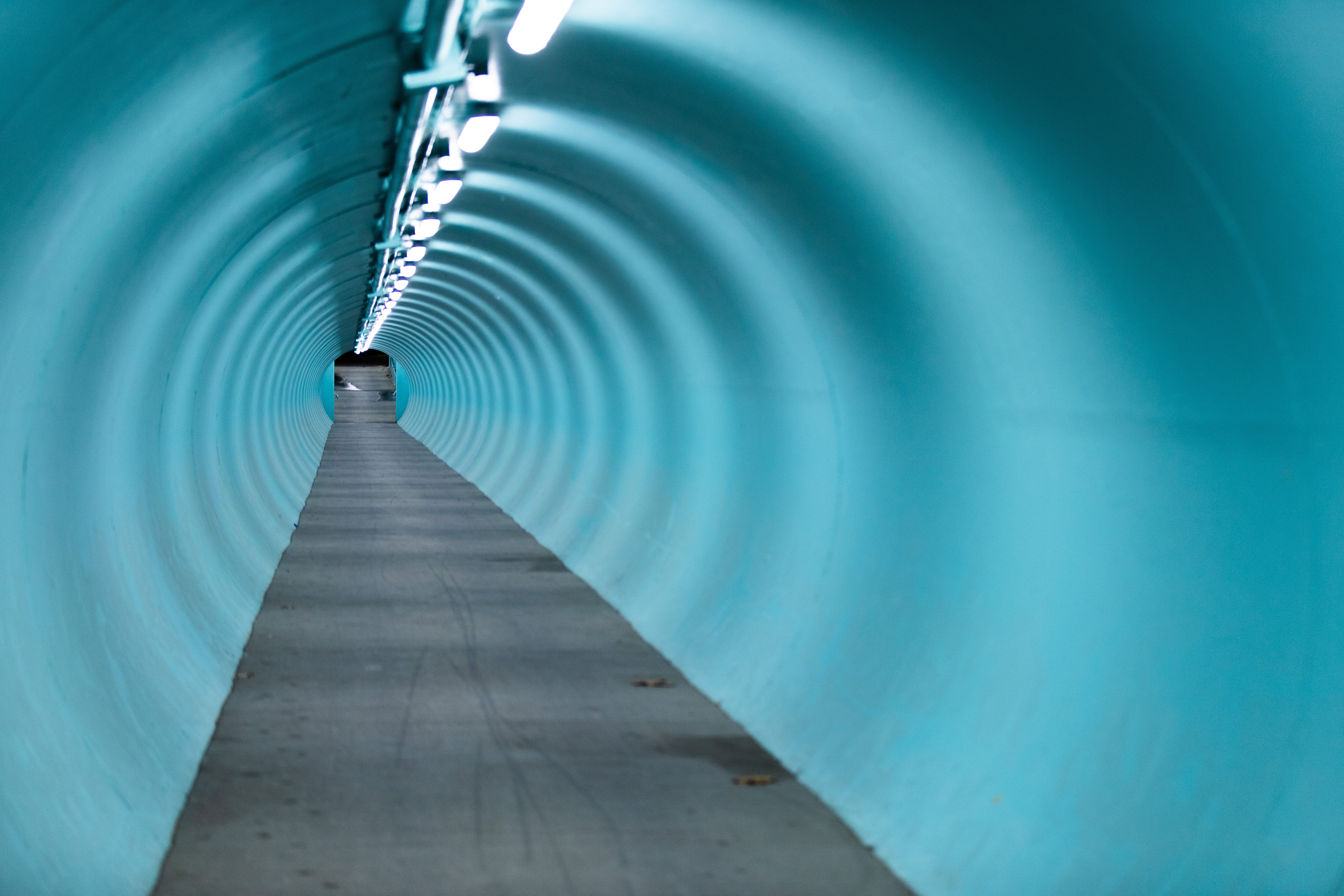 mitchell-luo-zW q1yNIUvY-unsplash