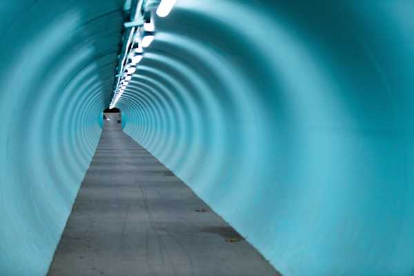 mitchell-luo-zW q1yNIUvY-unsplash mitchell-luo-zW q1yNIUvY-unsplash