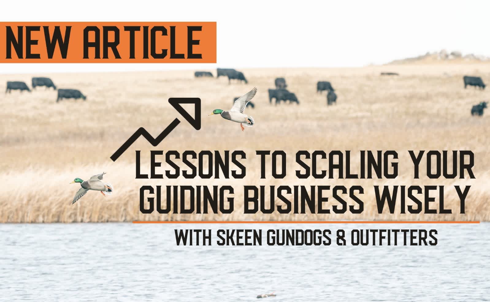 Lessons to Scaling Your Guiding Business Wisely-image