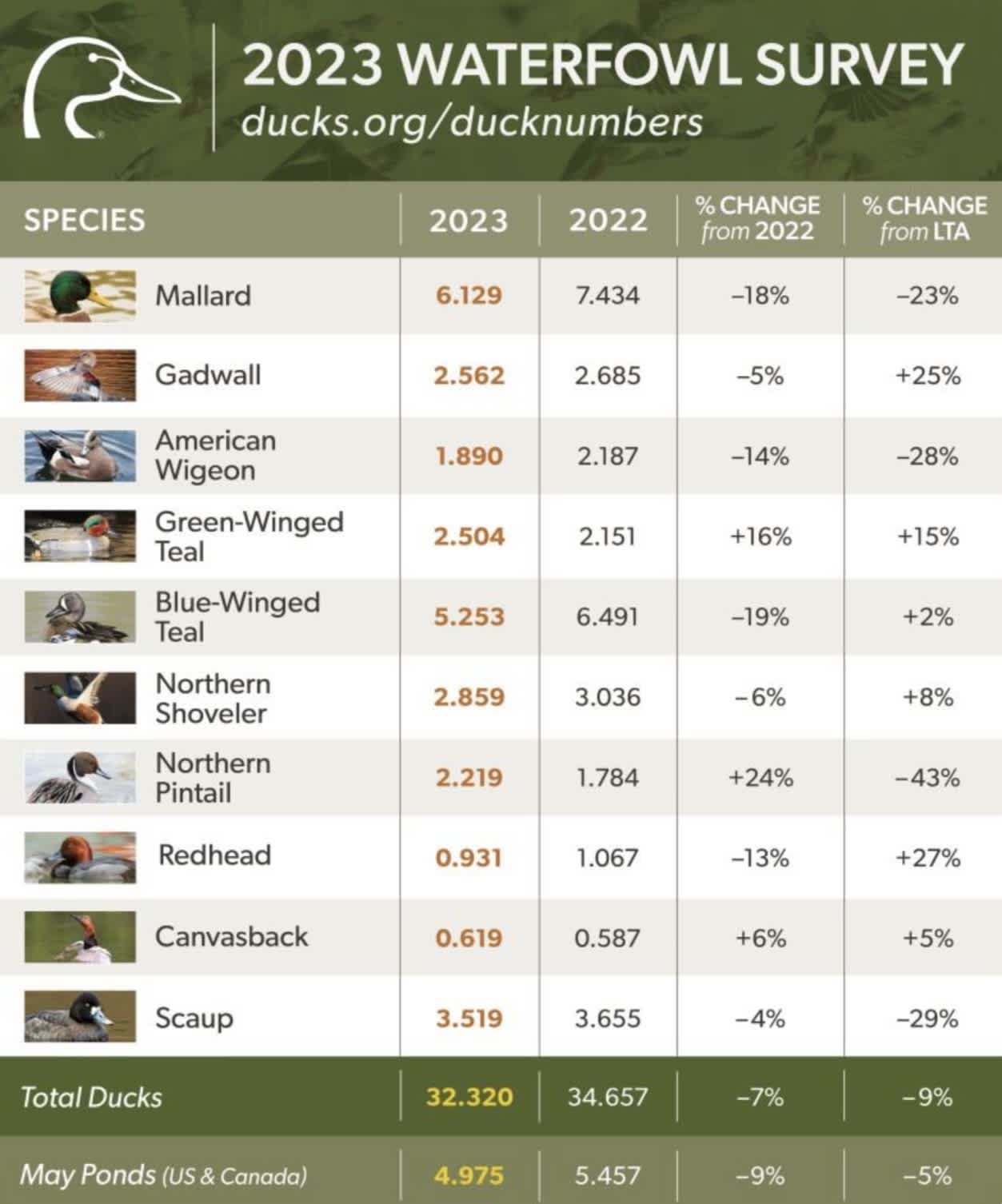 Waterfowl Population 2023: A Deeper Dive into Conservation with Mallard Bay-image