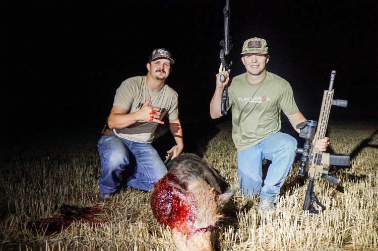 Experience Thermal Hog Hunting with Dirty Texas Outfitters-image