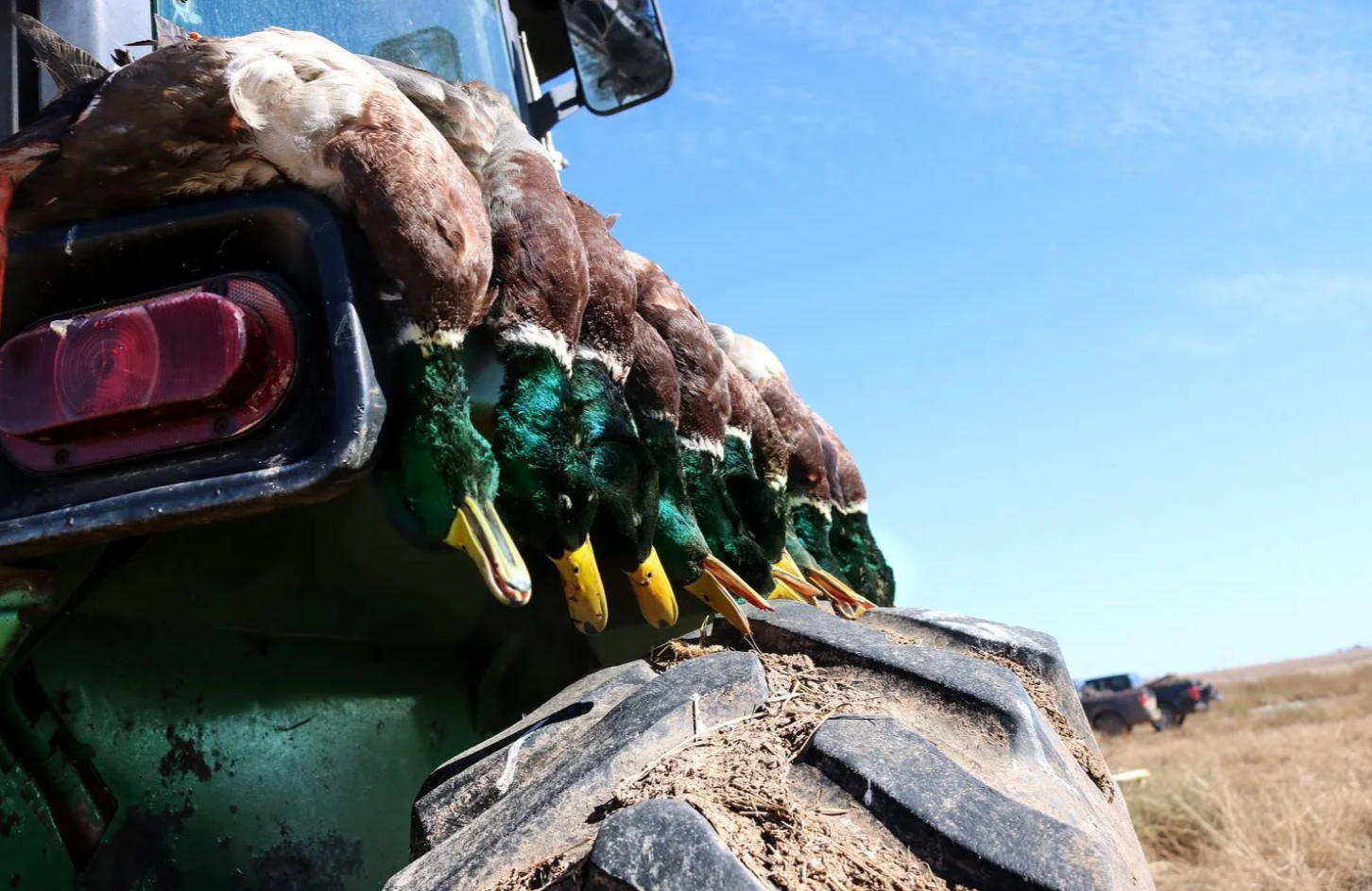 Texas Guided Duck Hunting Outfitters-image