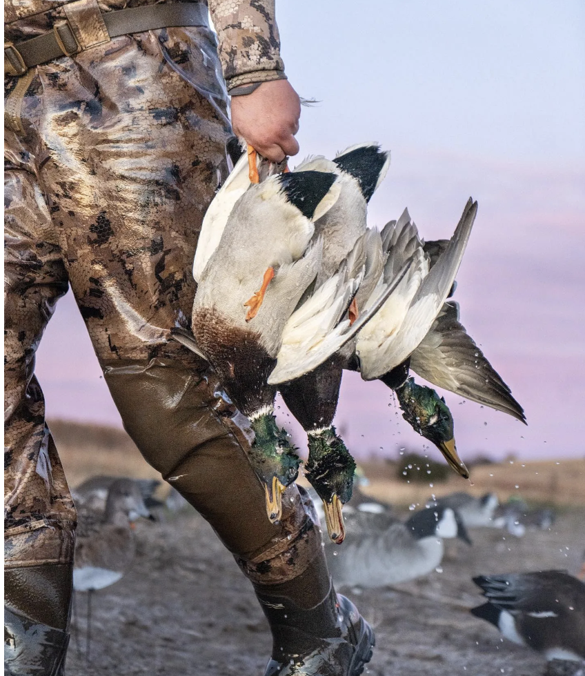 Nebraska Guided Waterfowl Hunting Outfitters-image