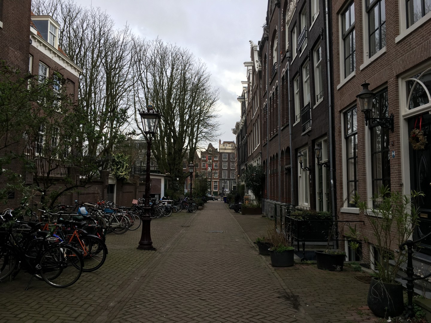 Amsterdam street